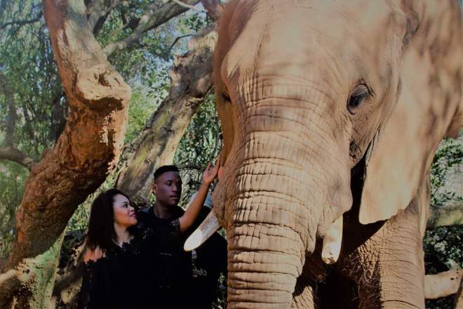 FB_IMG_1503873100015